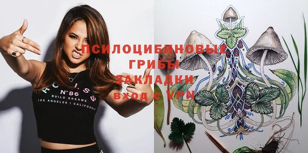 мдпв Верхний Тагил