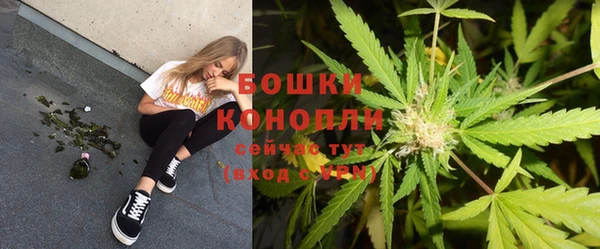 мдпв Верхний Тагил