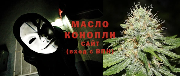 мдпв Верхний Тагил